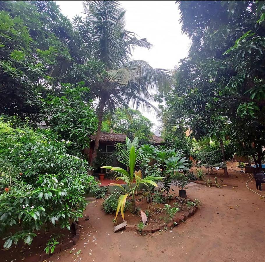 Lotus Riya Home Stay 함피 외부 사진